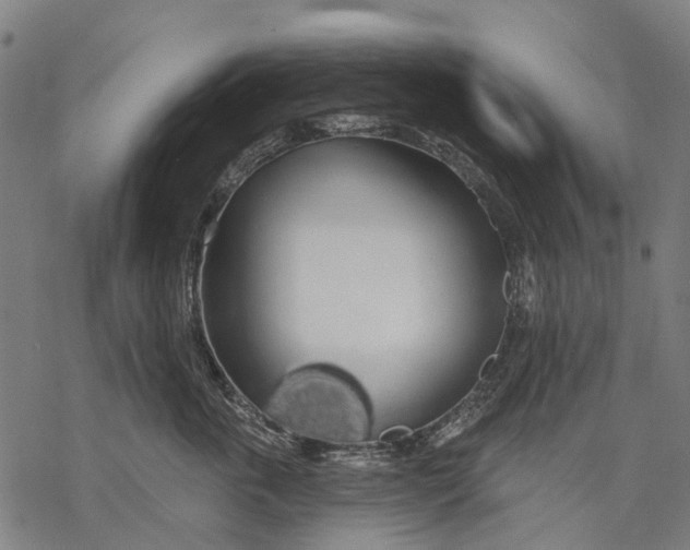 X0000068840763200605261640