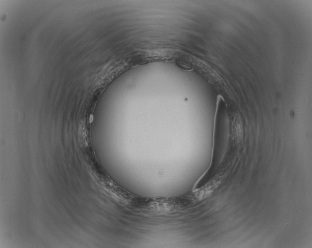 X0000068840764200605261640