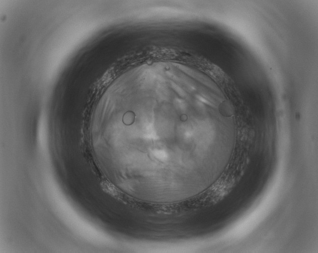 X0000068840765200605261640