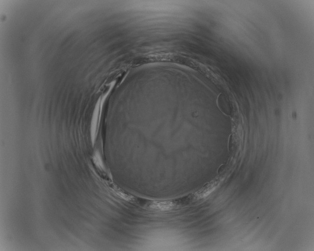 X0000068840767200605261640