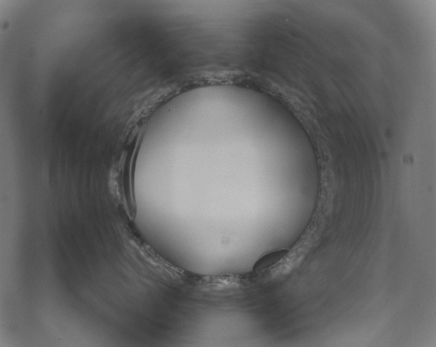 X0000068840768200605261640