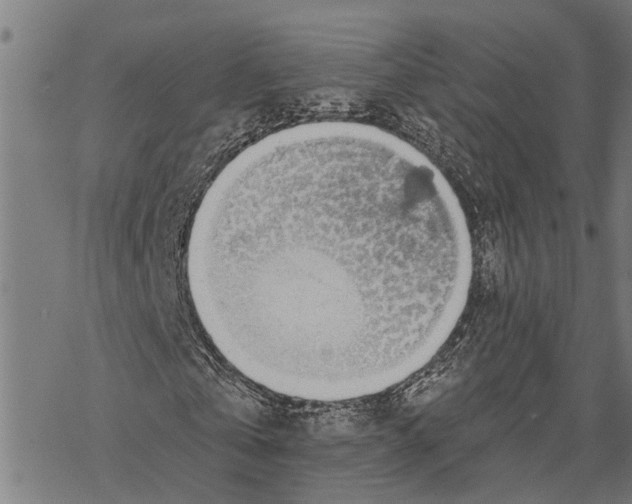 X0000068840769200605261640