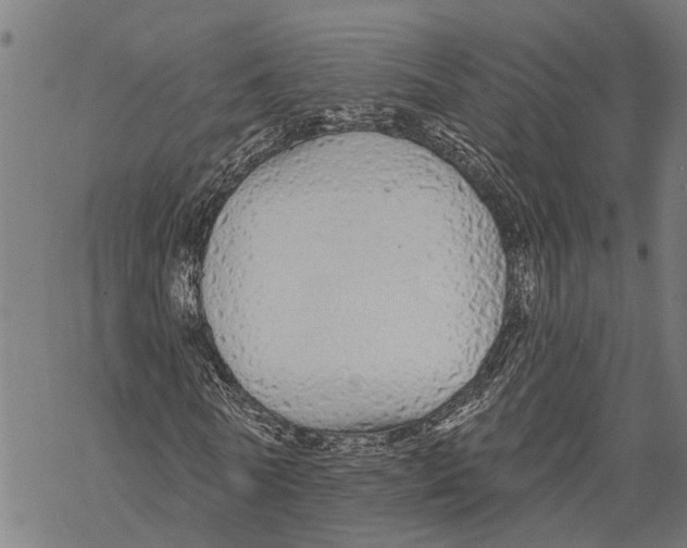 X0000068840770200605261640