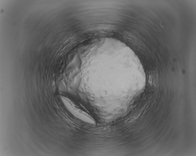 X0000068840771200605261640