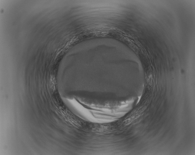 X0000068840772200605261639