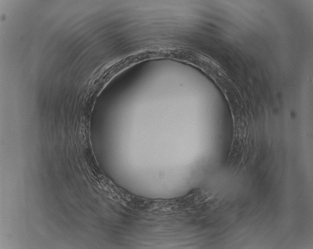 X0000068840773200605261639