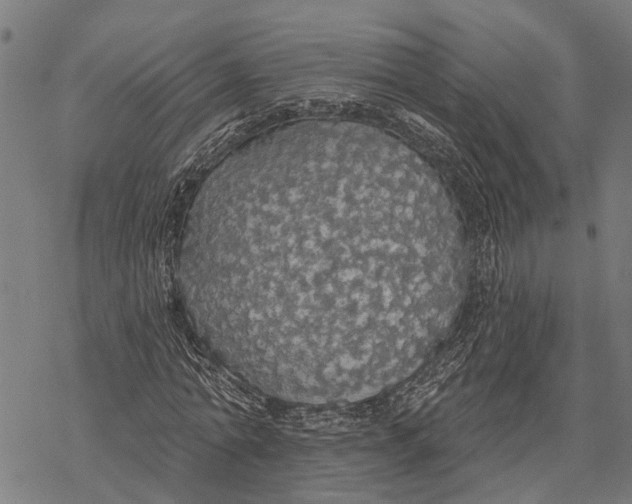 X0000068840774200605261639