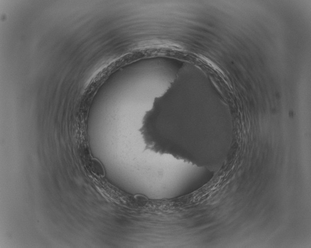 X0000068840775200605261639