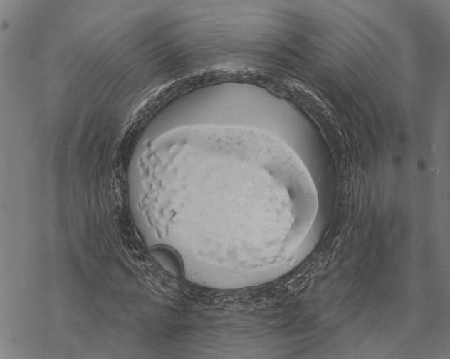 X0000068840776200605261639