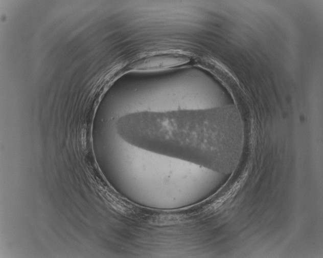 X0000068840777200605261639