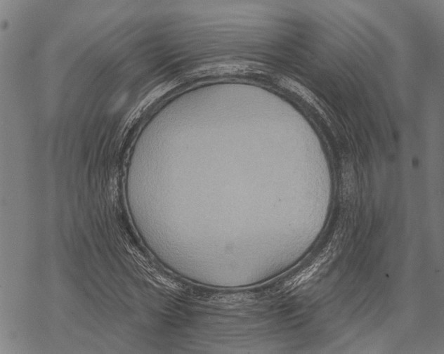 X0000068840778200605261639