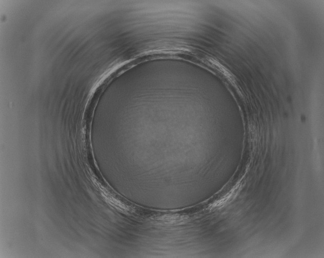 X0000068840779200605261639