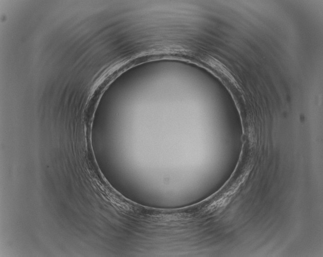 X0000068840781200605261639