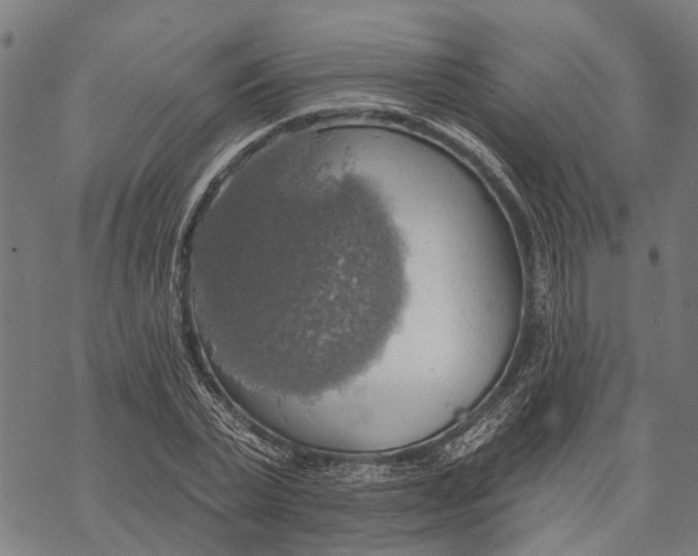 X0000068840783200605261639