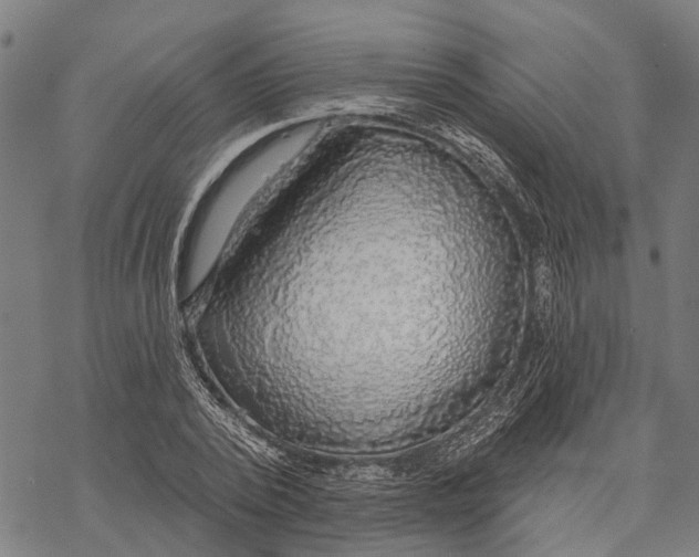 X0000068840784200605261639