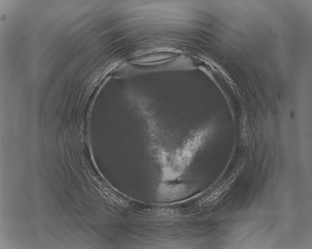 X0000068840785200605261639