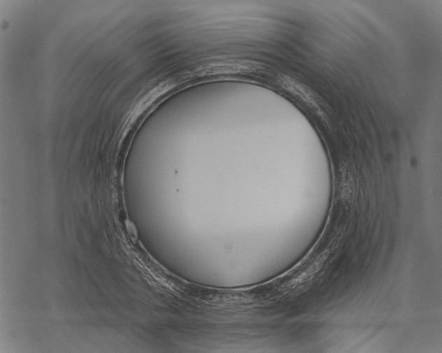 X0000068840786200605261639