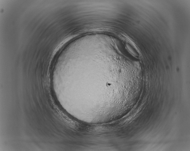 X0000068840787200605261639