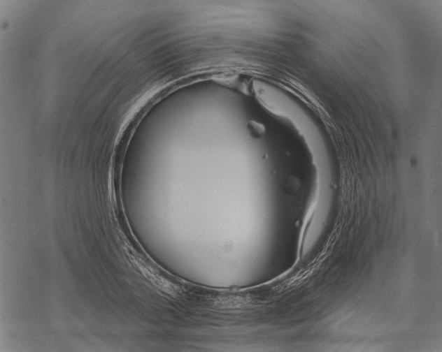 X0000068840788200605261639