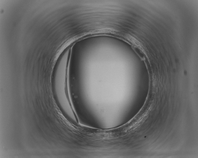 X0000068840789200605261639