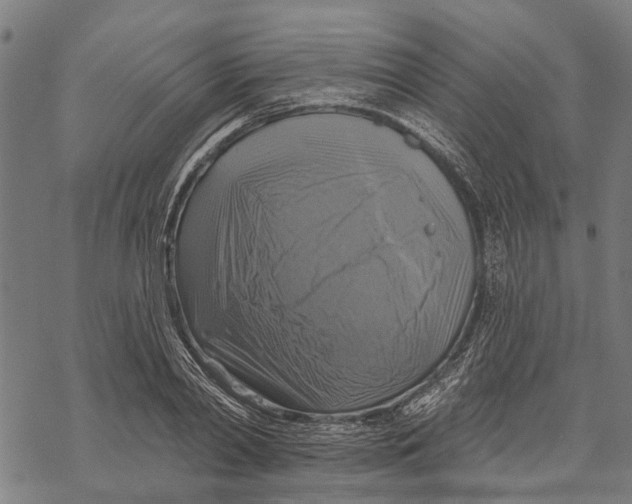 X0000068840790200605261639