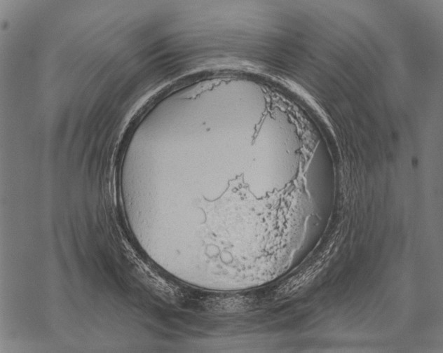 X0000068840791200605261639