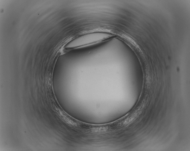 X0000068840793200605261639