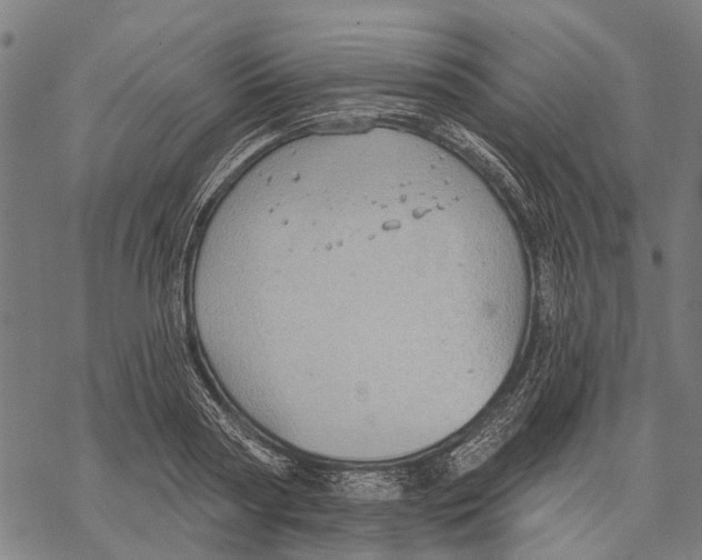 X0000068840794200605261639