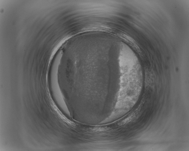 X0000068840796200605261639