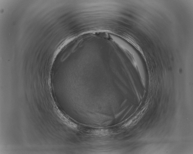 X0000068840797200605261639