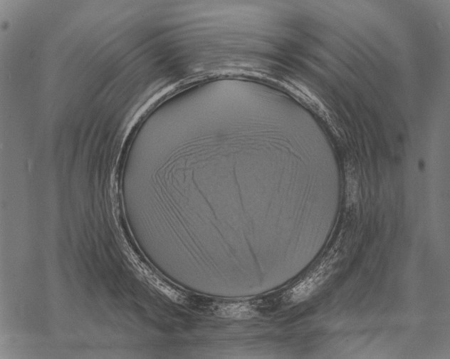 X0000068840798200605261639