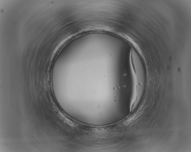 X0000068840799200605261639