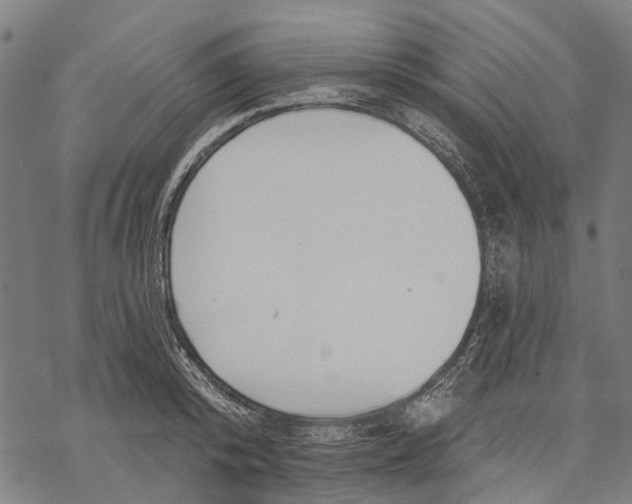 X0000068840800200605261639