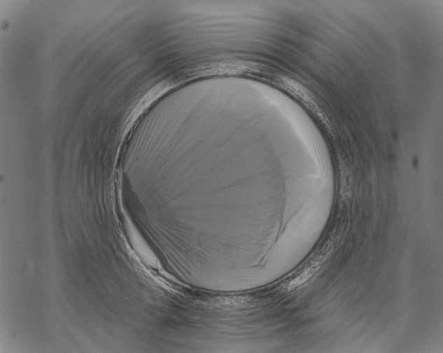 X0000068840802200605261639