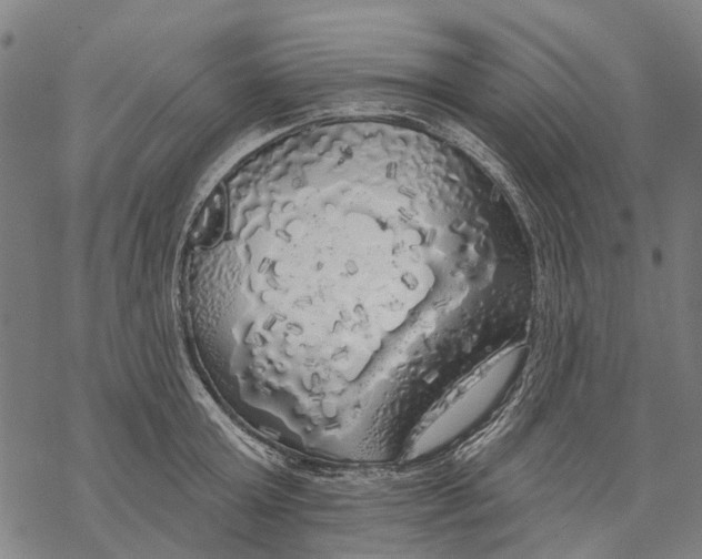 X0000068840803200605261639