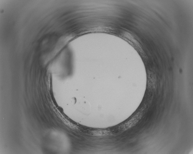 X0000068840804200605261639