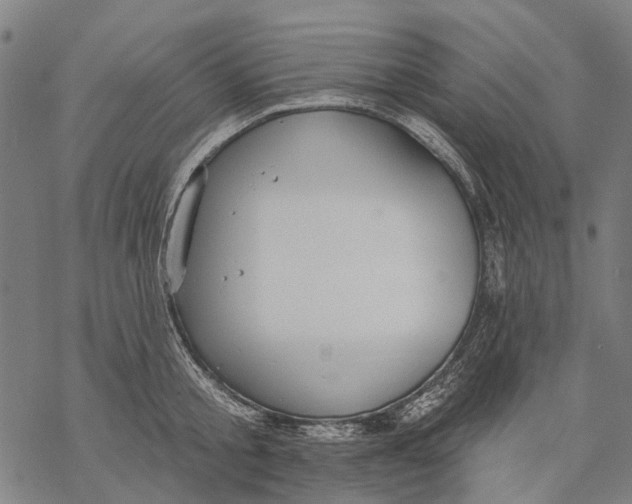 X0000068840805200605261639