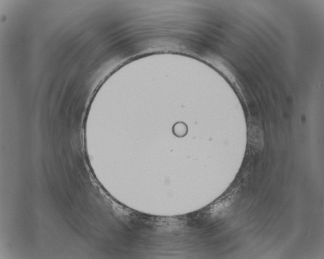 X0000068840807200605261639