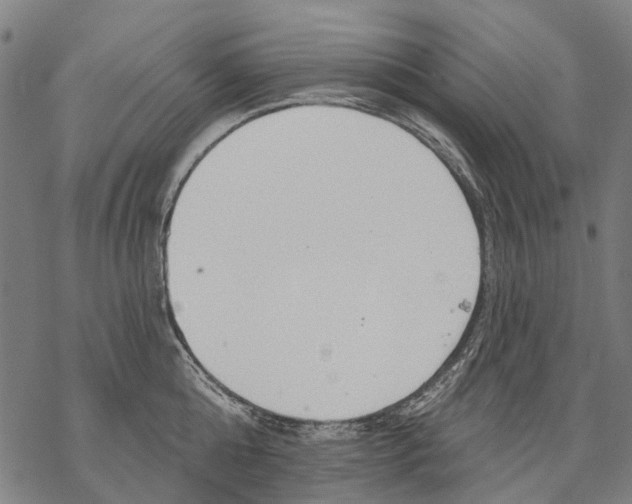 X0000068840808200605261639