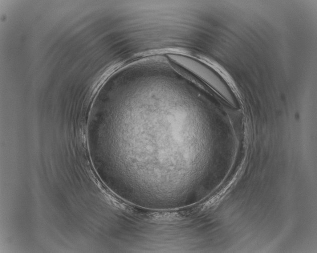 X0000068840809200605261639