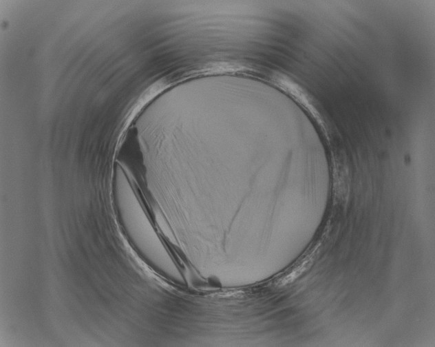 X0000068840810200605261639