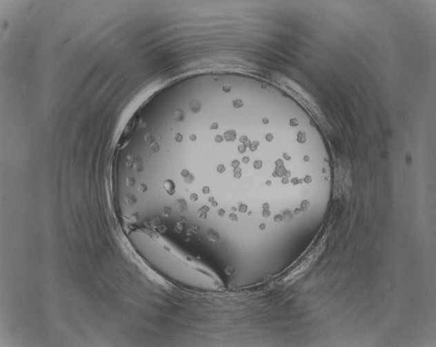 X0000068840812200605261639