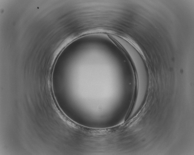 X0000068840813200605261639