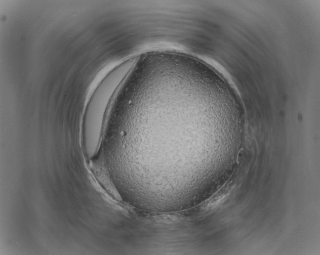 X0000068840815200605261639