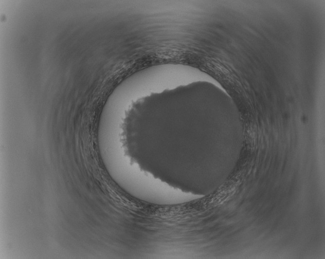 X0000068840817200605261638