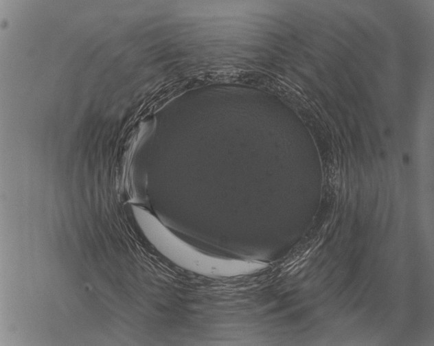 X0000068840818200605261638