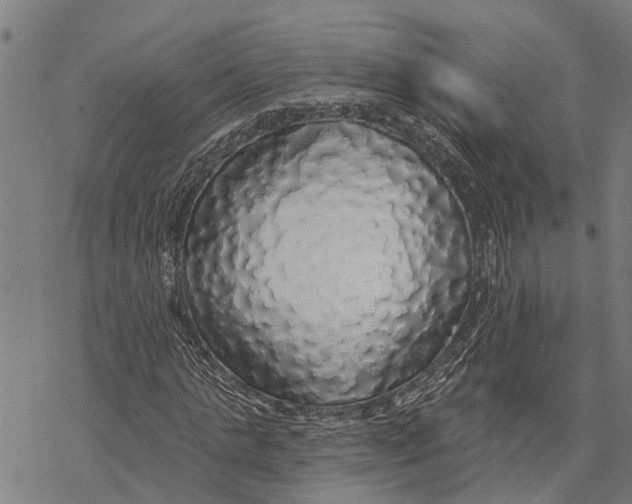 X0000068840821200605261638