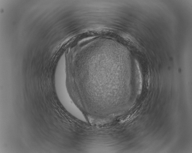 X0000068840822200605261638