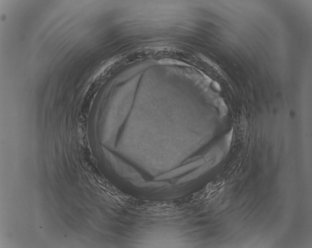 X0000068840823200605261638