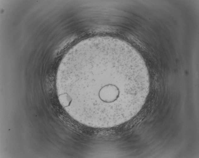 X0000068840824200605261638